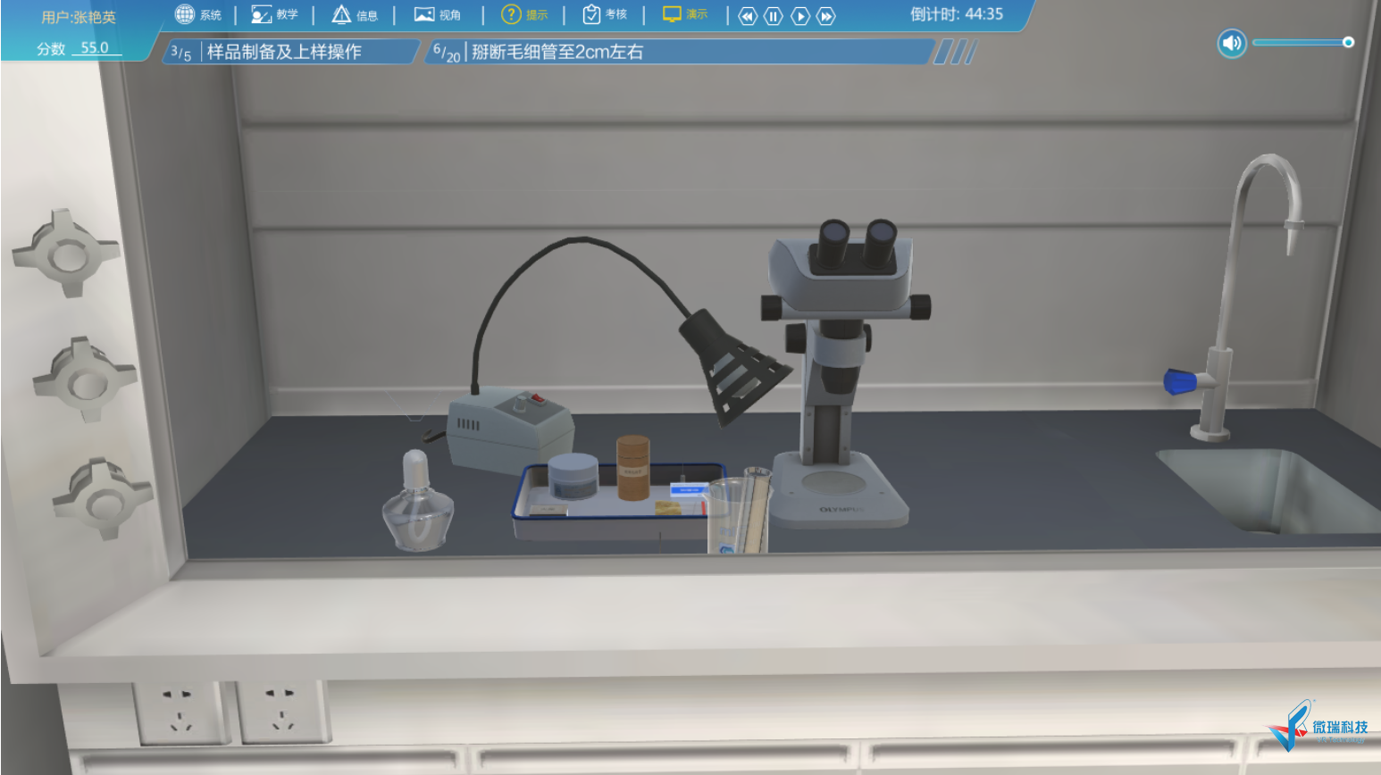 02.png