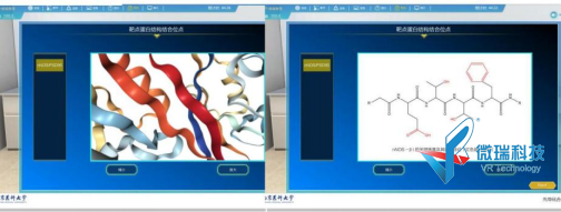 wps46.png
