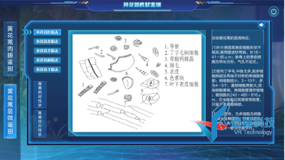 wps112.png