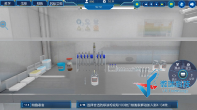 药物诱导细胞凋亡的形态学观察及生化特征检测