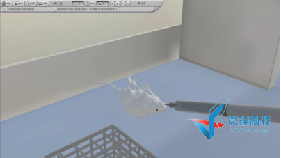 wps26.png