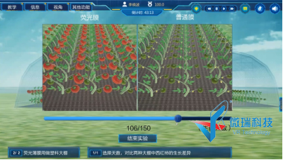 wps55.png